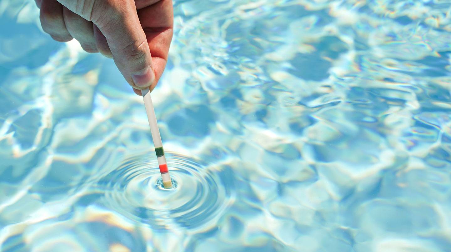 Vue par-dessus l'épaule d'une personne consultant un carnet de bord au bord d'une piscine contemporaine sous la lumière naturelle du matin